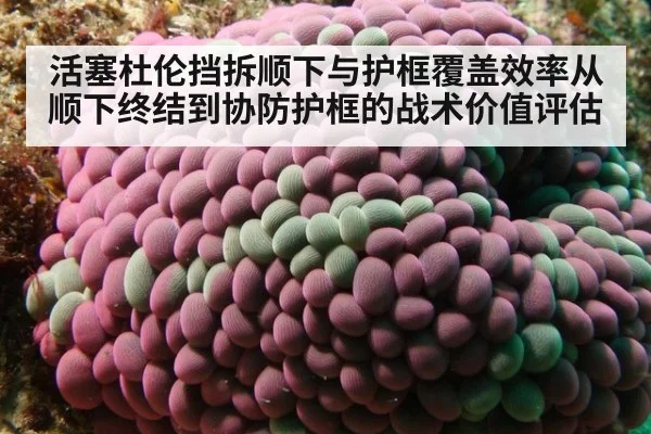 活塞杜伦挡拆顺下与护框覆盖效率从顺下终结到协防护框的战术价值评估